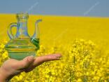 Рапсовое масло - фото 1