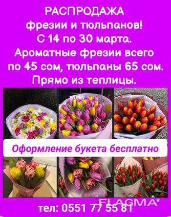 Распродажа фрезии и тюльпанов! Прямо из теплицы