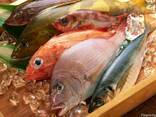 Рыба и море продукты - фото 1
