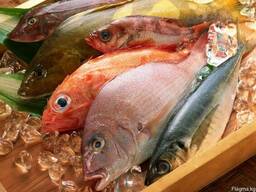 Рыба и море продукты