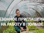 Сезонное приглашение в Польшу засвядчение Zaświadczenie! - фото 1