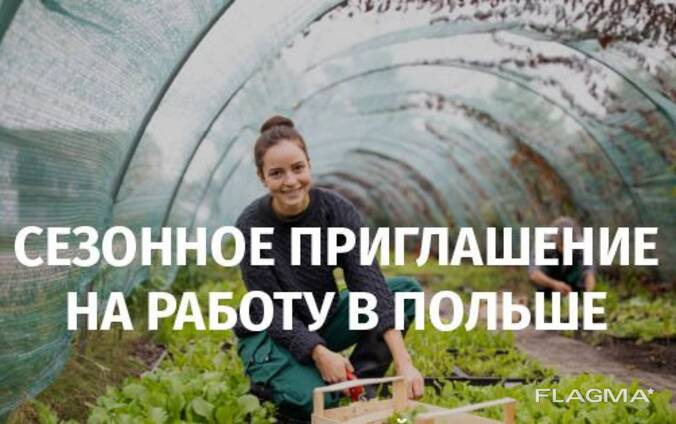 Сезонное приглашение в Польшу засвядчение Zaświadczenie!