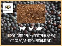 Шрот рапсовый (42% протеин на АСВ) ж/д-доставка