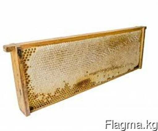 Сотовый мед: рамка, полурамка, секционный