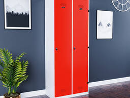 Стальной шкафчик с двумя отделениями