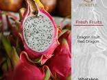 Свежый Драконовый Фрукт (белый/крассный) из Вьетнама - фото 1