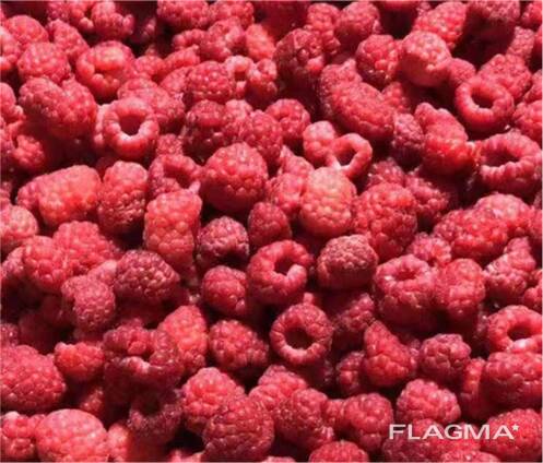 Тоңдурулган токой мөмөлөрү, жемиштер, мөмө-жемиш жана компот аралашмалары.