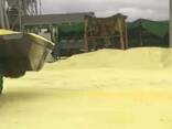 Turkmen granul lumpl sulfur/гранулированная и комовая сера на условиях FCA - фото 1