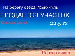 Участок на первой линии озера Иссык-Куль Кыргызстан