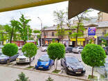 Ваш Садовник.  Стрижка и обрезка деревьев, кустарников - фото 6