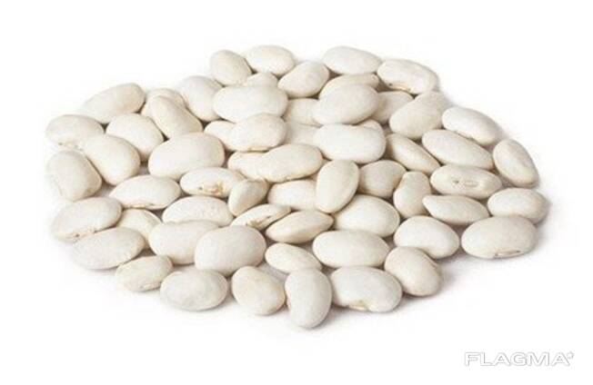 White bean Lopatka 8mm-9mm