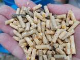 Wholesale Wheat Bran Pellets - Direct from Farm &amp; Factory - фото 1