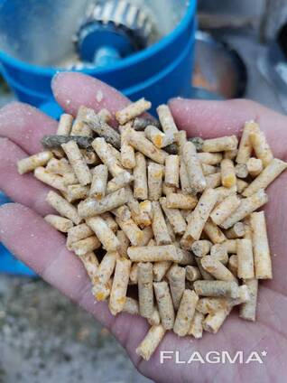Wholesale Wheat Bran Pellets - Direct from Farm &amp; Factory