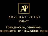 Юридическая консультация, с опровождение, - фото 1