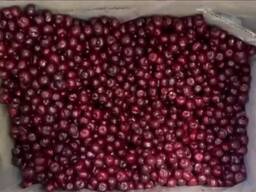 Замороженная вишня с косточкой