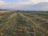 Земельный участок под сельское хозяйство - фото 2